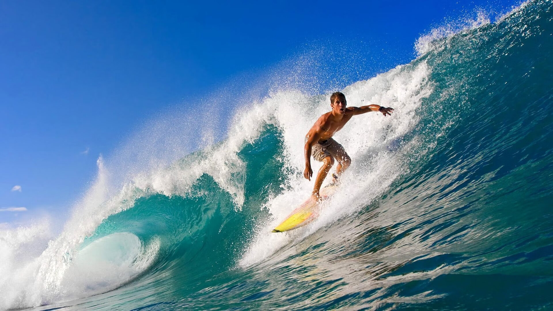 巅峰对决！扣篮大赛惊现史诗级表演，新星力压群雄夺冠
